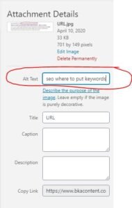 How to Put Seo Keywords in Website