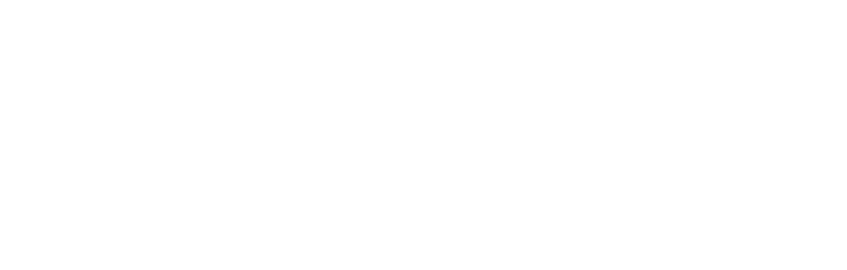 Nytro Seo Automated Software